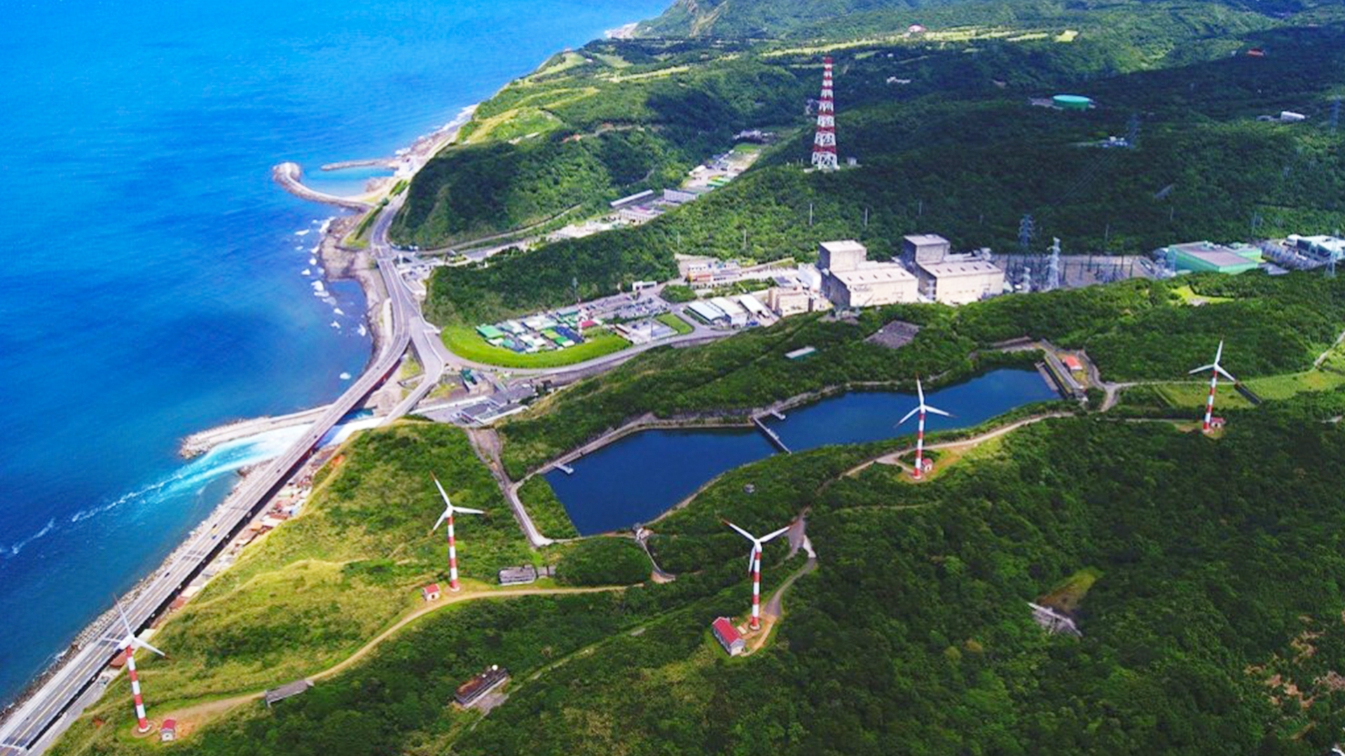 第一核能發電廠 守護生態植物園